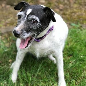 Meet your Posher, Jackie